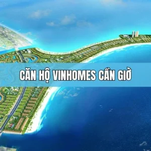Siêu dự án Vinhomes Cần Giờ: Phân tích cơ hội và rủi ro cho nhà đầu tư